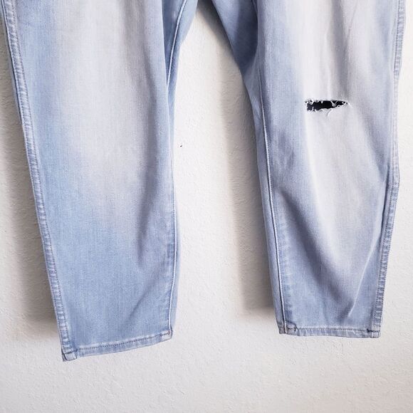 Madewell Plus Light Wash High Rise Roadtripper Jeggings - Picture 3 of 12